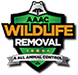 Atascocita Wildlife Removal